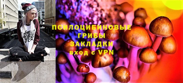 мяу мяу мука Баксан