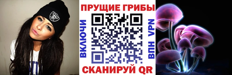 Псилоцибиновые грибы Psilocybe  Бузулук 